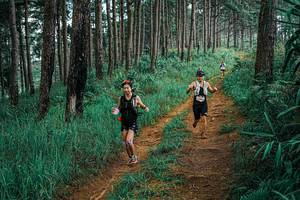 BIB: 
                            <button type="button" onclick="openModal(25655455)" class="btn btn-primary btn-sm float-right btn-popup" data-toggle="modal" data-target=".modal-high-quality">
                        <i class="fas fa-shopping-cart"></i> Add to Cart
                    </button>
                                            <button type="button" onclick="isThisMe(25655455, true)" class="btn btn-success btn-sm float-right btn-popup btn-isme hidden" data-toggle="tooltip" data-placement="bottom" title="นี่คือรูปของคุณใช่ไหม คลิกที่นี่เพื่อเอาเข้าอัลบั้ม">
                        <i class="fas fa-plus"></i> Add to album
                    </button>
                    <button type="button" onclick="isThisMe(25655455, false)" class="btn btn-warning btn-sm float-right btn-popup btn-isnotme hidden">
                        <i class="fas fa-ban"></i> Remove from album
                    </button>